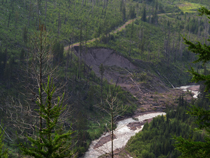 Logging Road Landslide